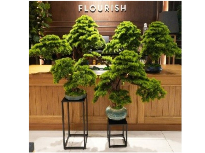 Benefits of Faux Bonsai