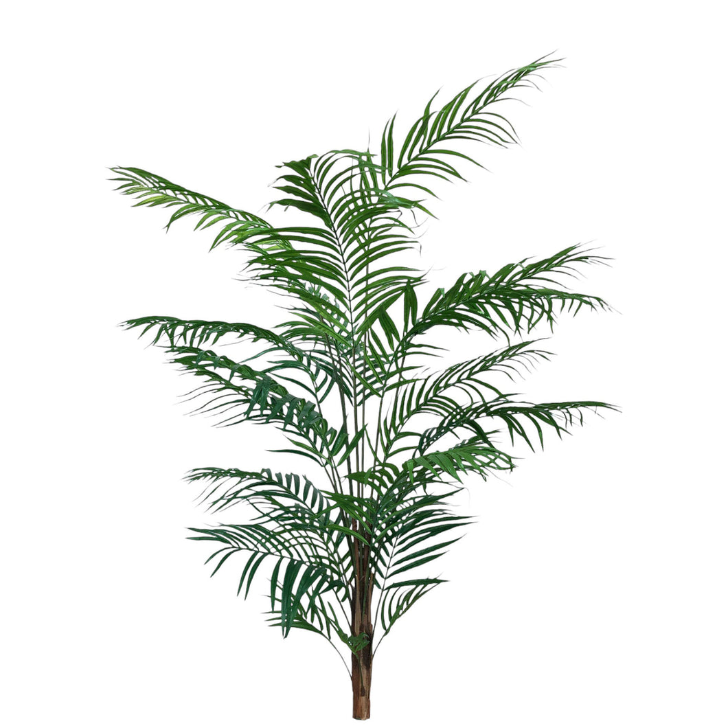Deluxe Areca Palm Tree 170cm.