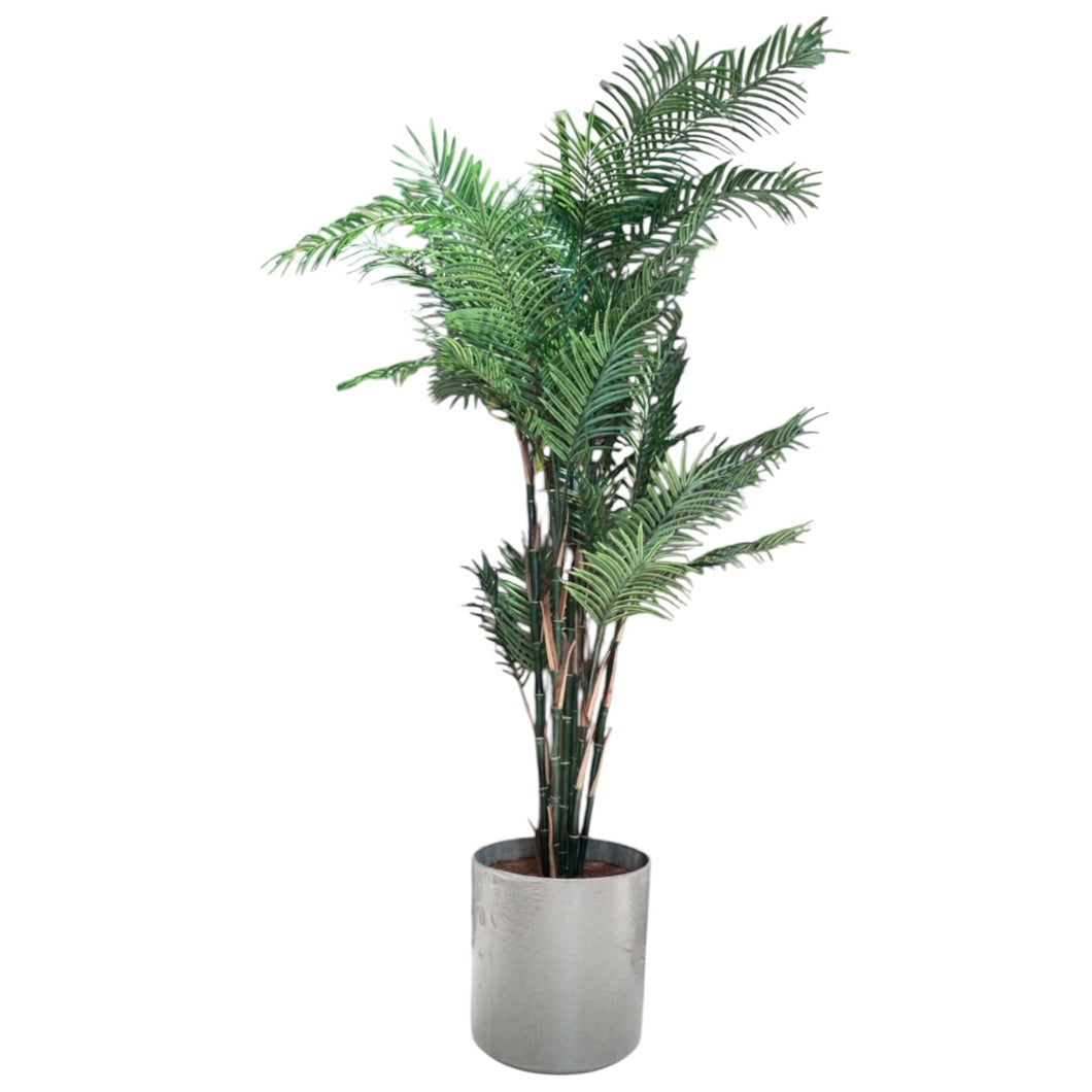 Reed Palm Tree 250cm.