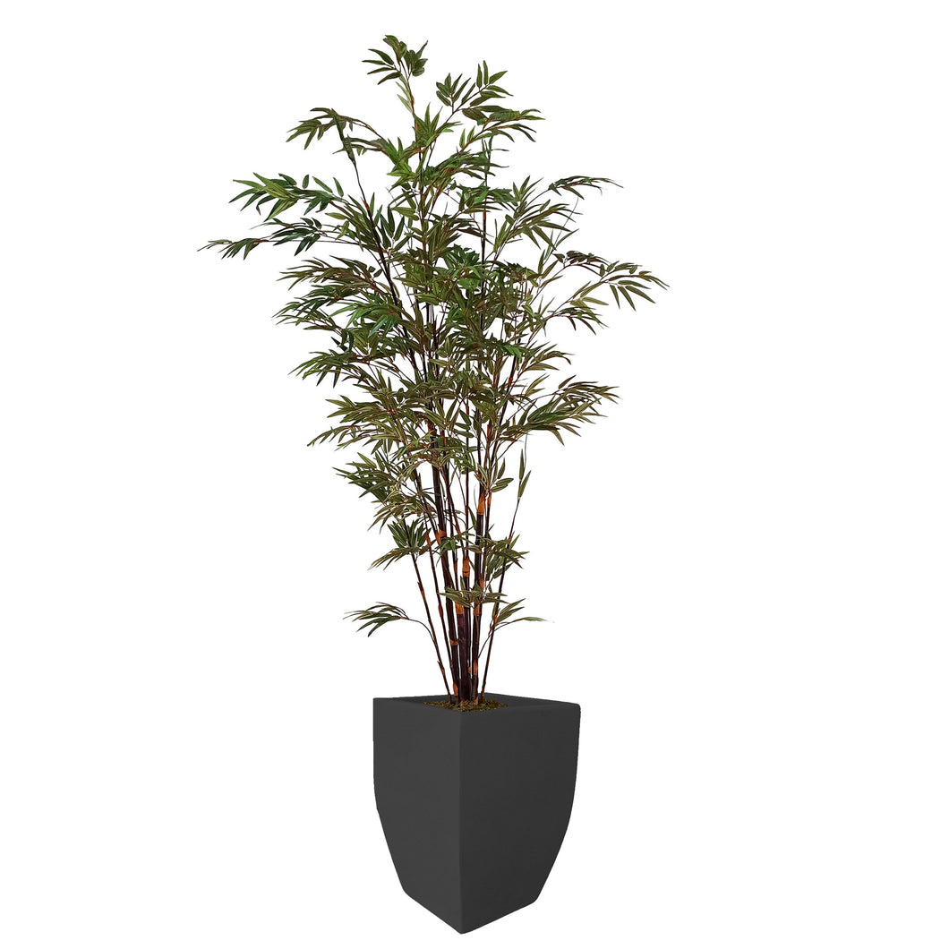 Bamboo Tree 256cm.