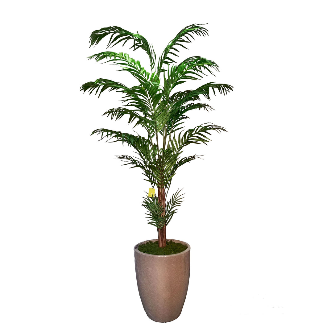 De Luxe Areca Palm Tree 213cm.