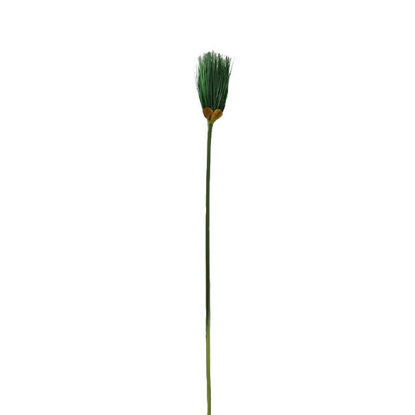 Wind Mill Grass Spray 108cm.