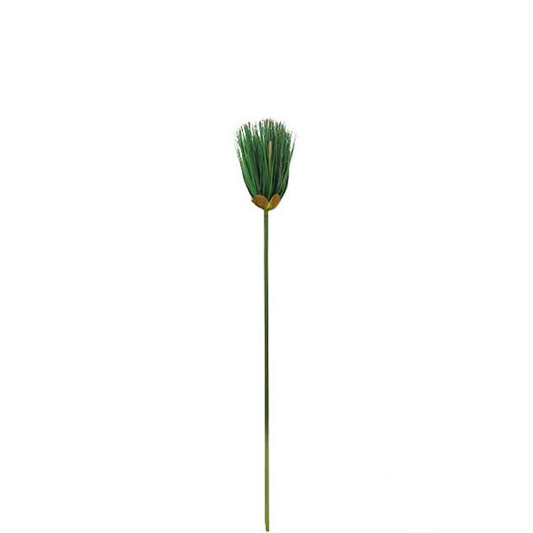 Wind Mill Grass Spray 90cm.