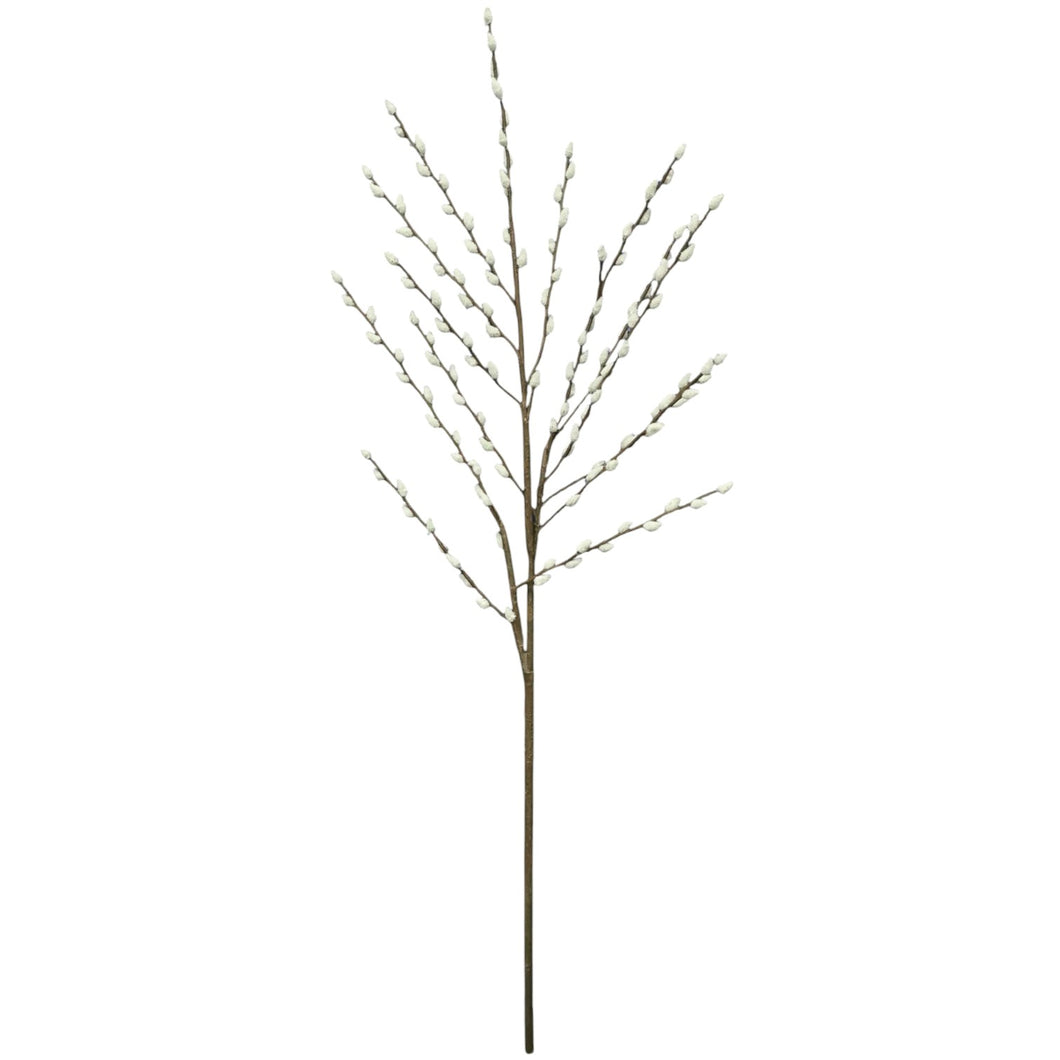 Pussy Willow 123.5cm.