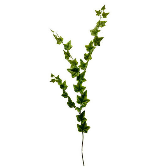 Variegated Ivy Leaves 107cm.