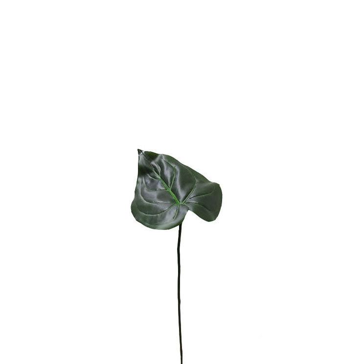 Foliage 34cm.