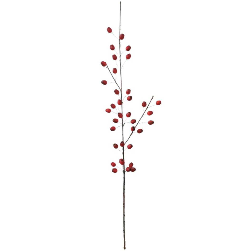 Myrica Spray 117cm. – Flourish_ph