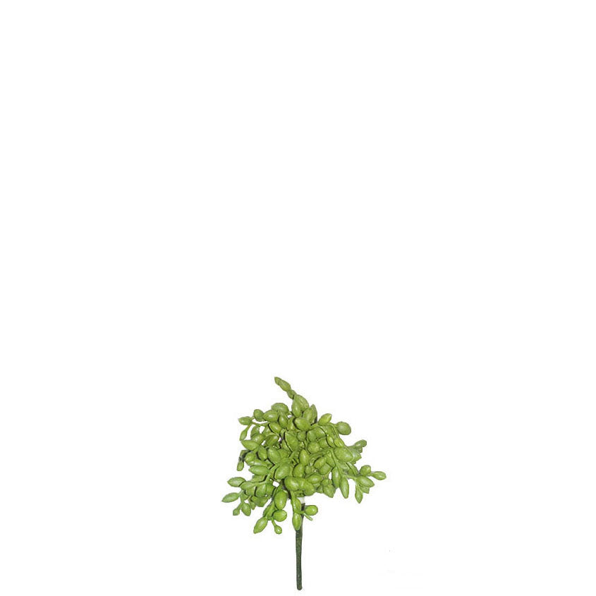 Green Berries 13cm.