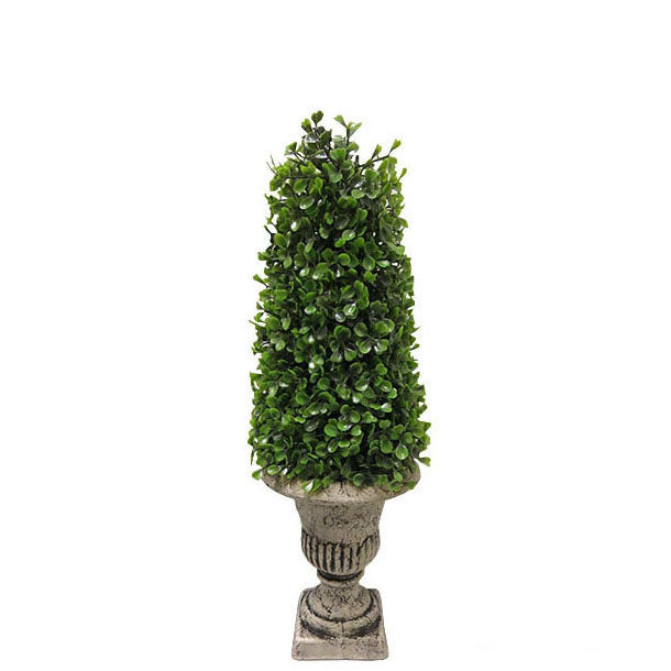 Boxwood Topiary with Pot 45cm.