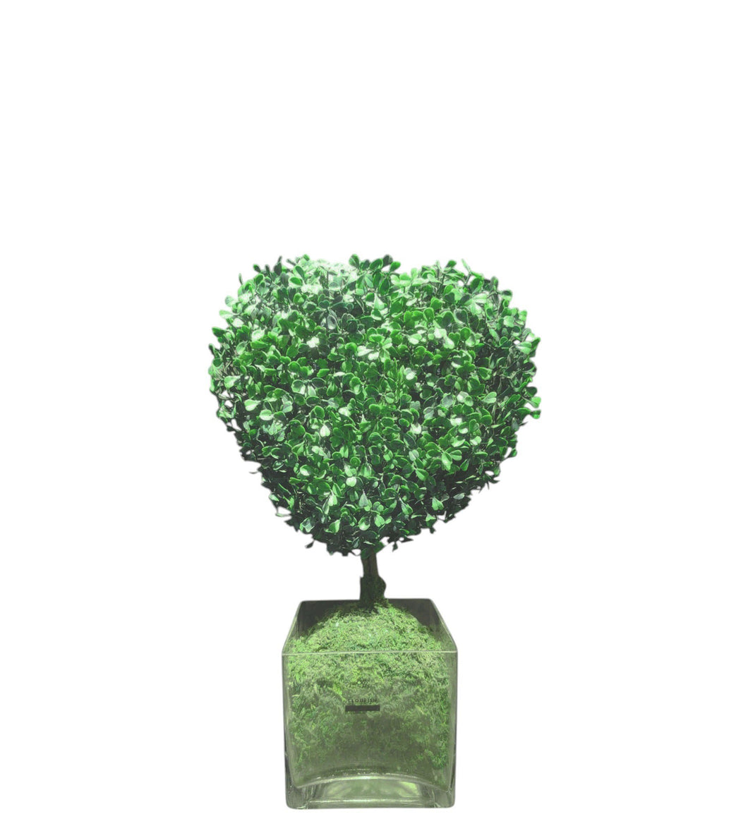 Boxwood Topiary Arrangement