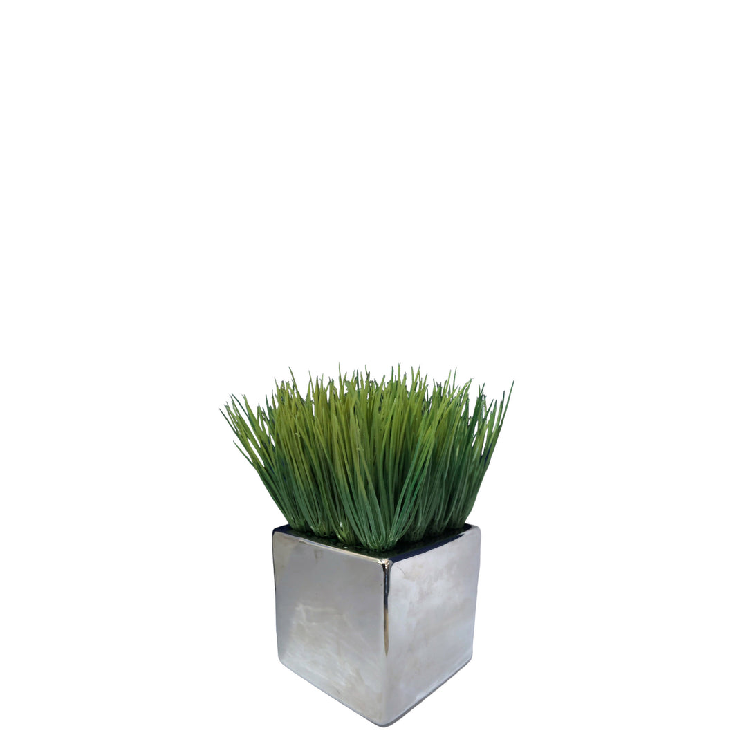 Potted Grass 18cm.