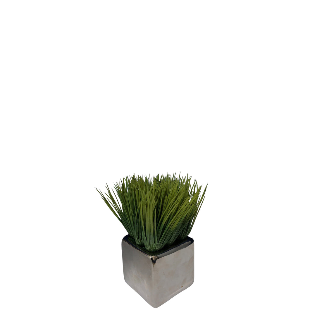 Potted Grass 17cm