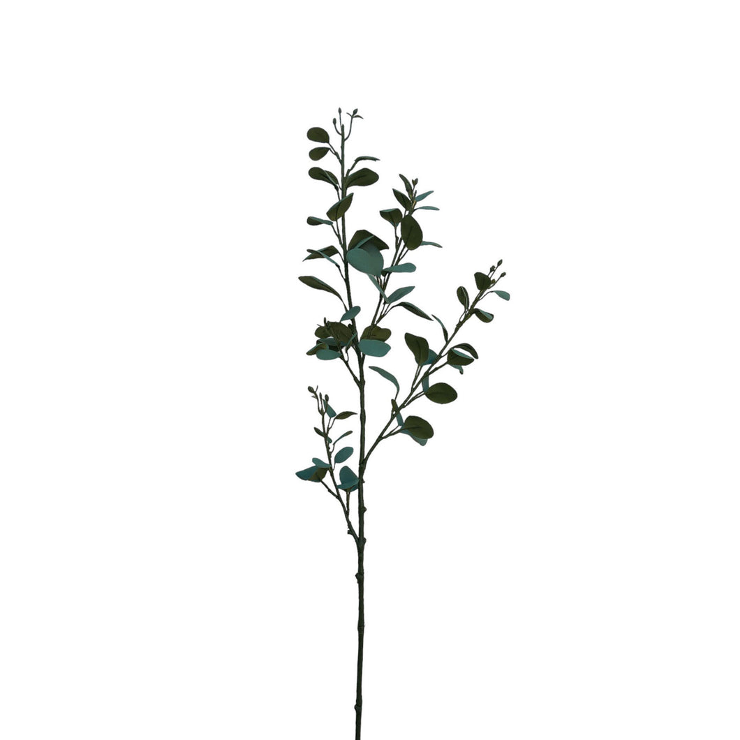 Eucalyptus 80cm.