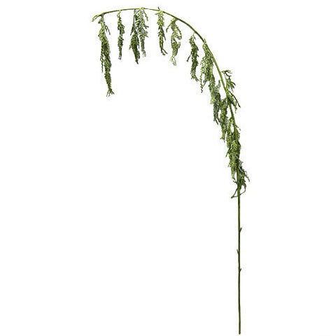Amaranthus Green 145cm.