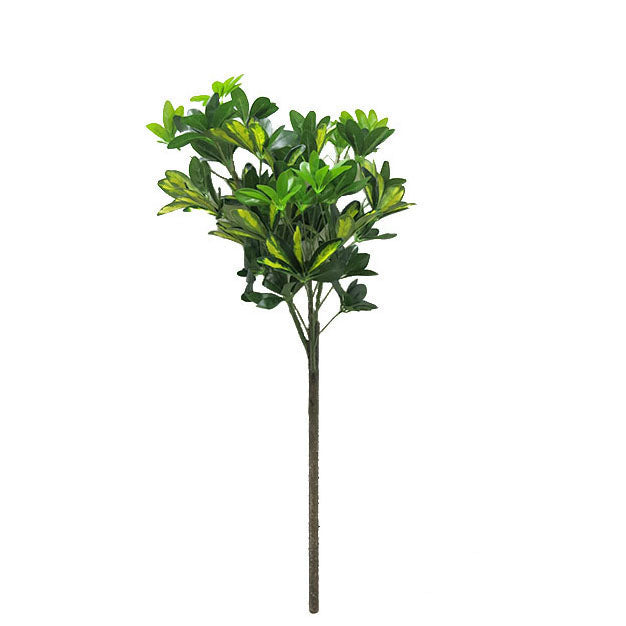 Sponge Tree 105cm. – Flourish_ph