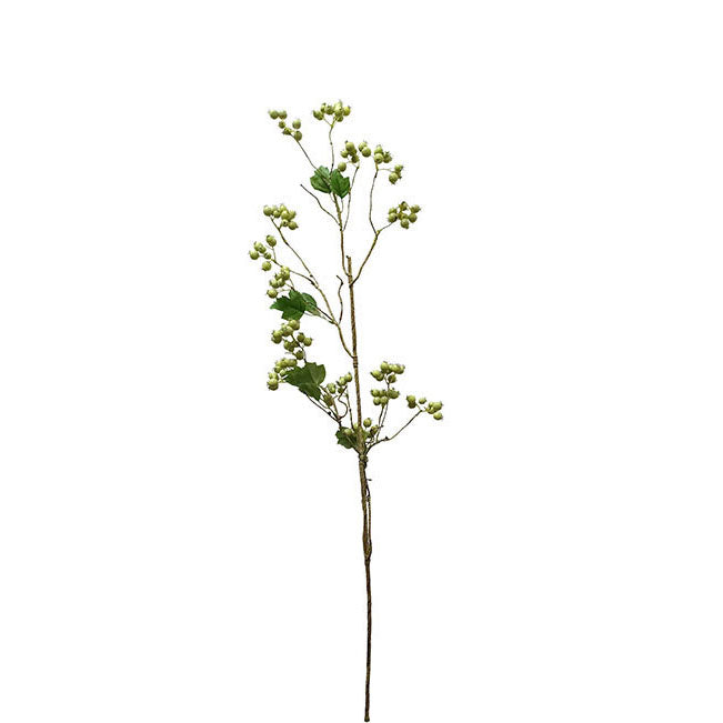 Fruit Seed Spray 101cm.