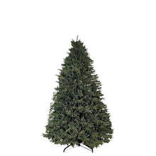 Load image into Gallery viewer, Greenland Fir Tree 6.5ft.
