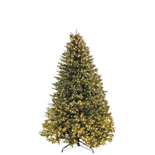 Load image into Gallery viewer, Greenland Fir Tree 6.5ft.
