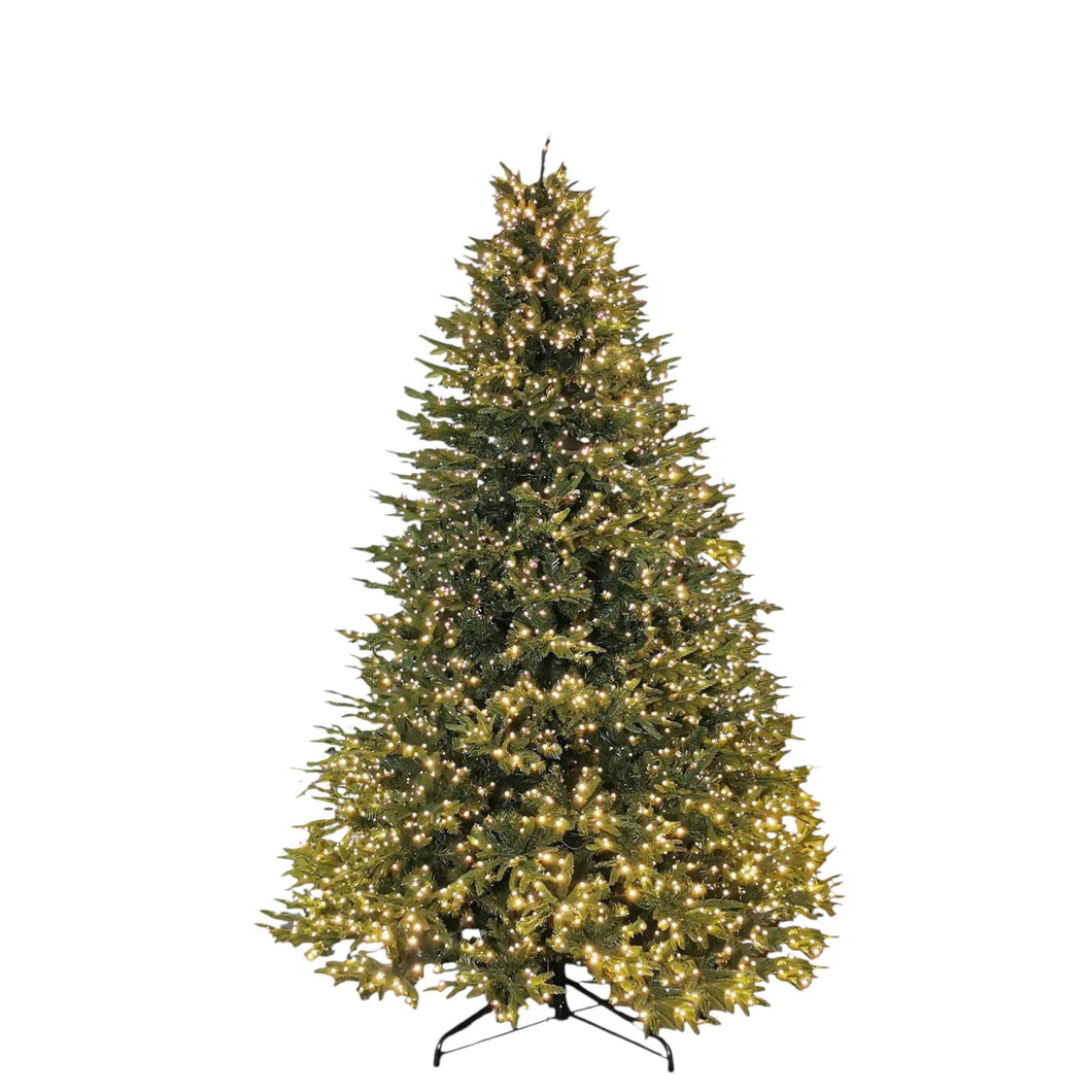 Greenland Fir Tree 7.5ft.