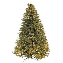 Load image into Gallery viewer, Greenland Fir Tree 9ft.
