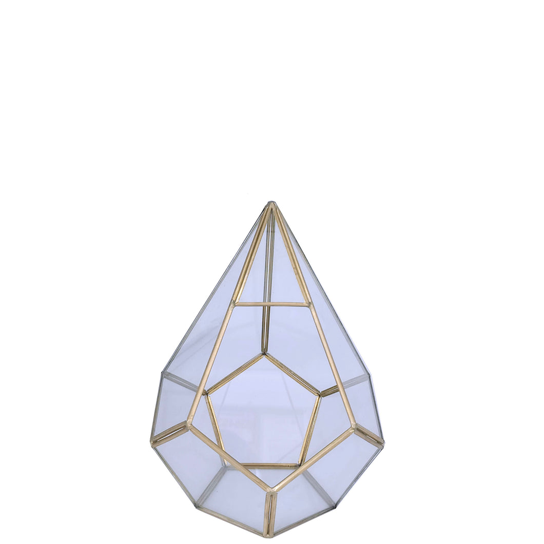 Nicole Terrarium