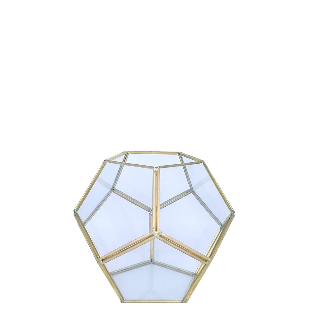 Nicole Terrarium