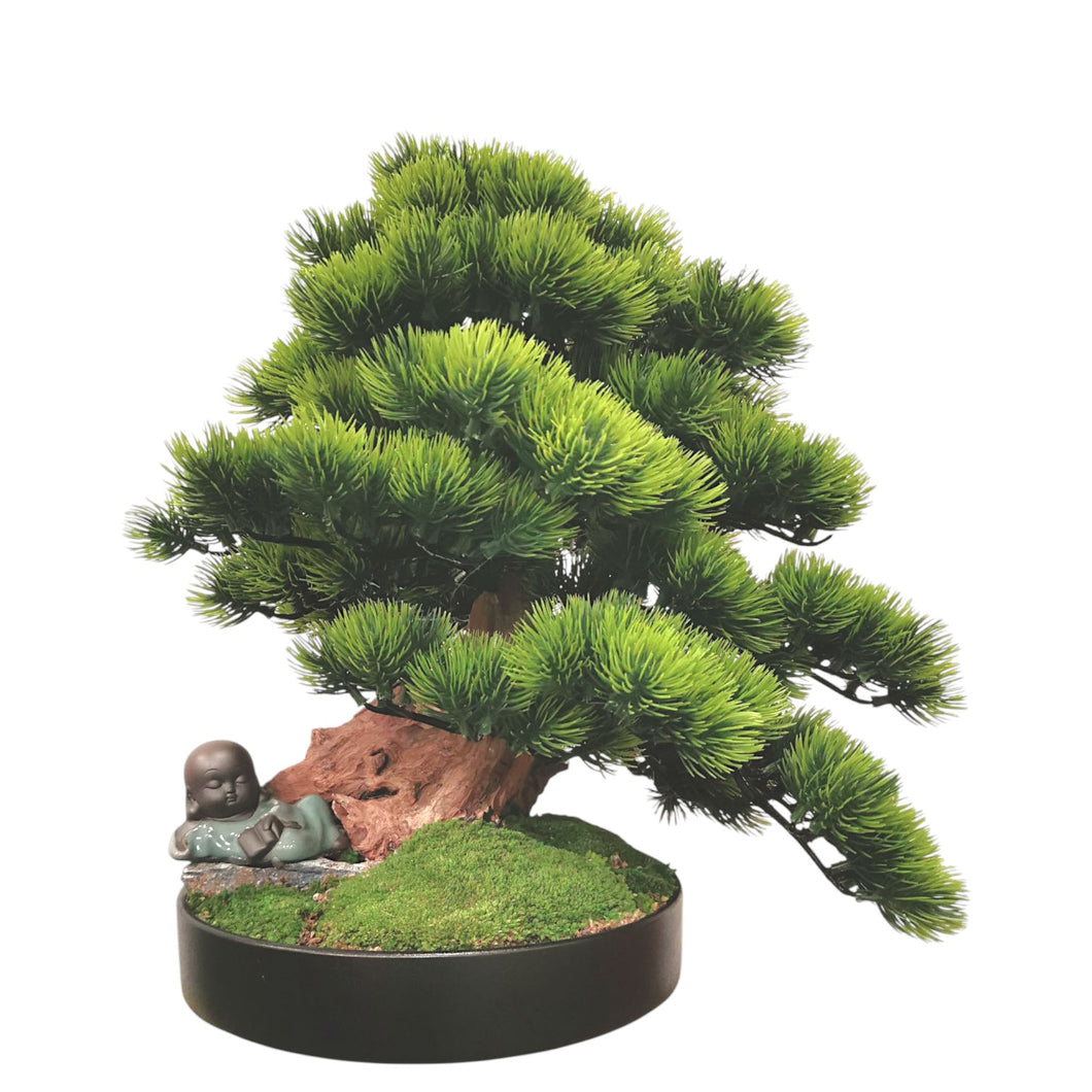 Kagawa Bonsai with Pot