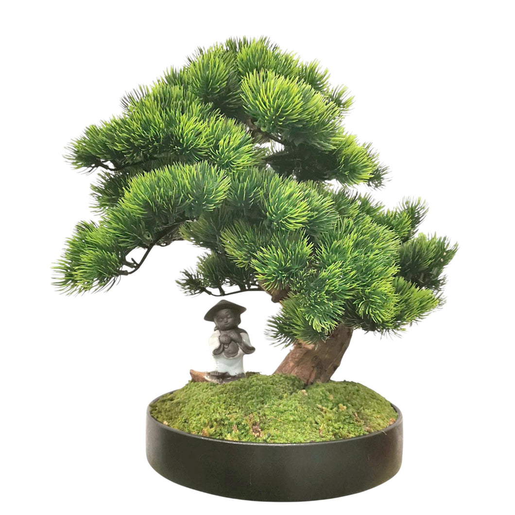 Gifu Bonsai with Pot