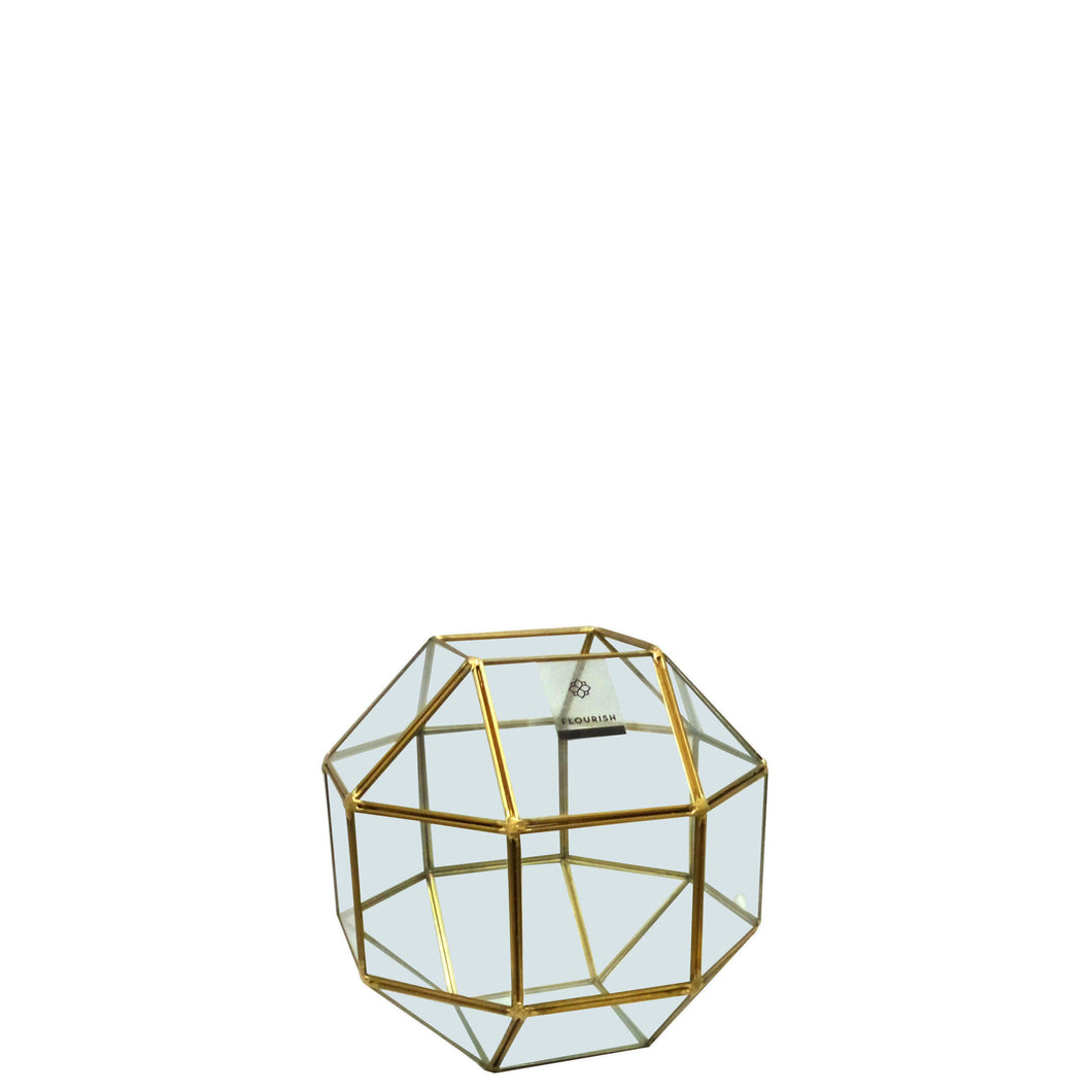 Nicolo Terrarium