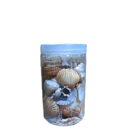 Mixed Sea Shells