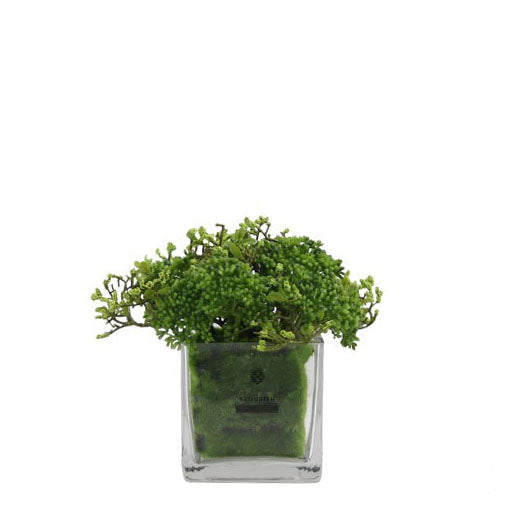 Foliage Arrangement (Small) – Flourish_ph