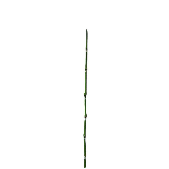 Single Bamboo 74cm. – Flourish_ph