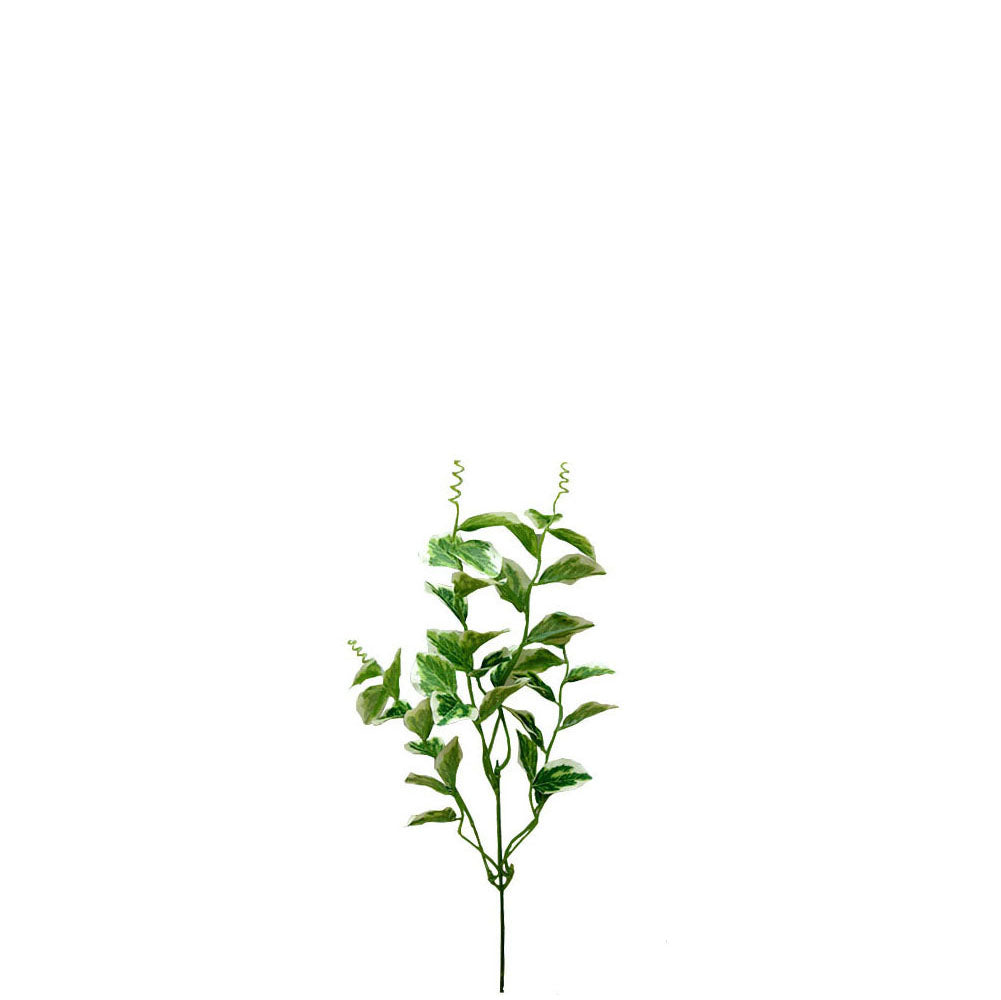 Radiator Plant 37cm.