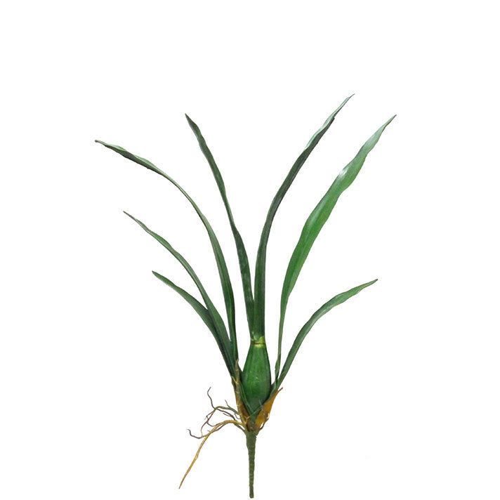 Orchids Leaves 62cm.