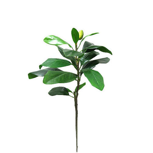 Magnolia Leaves Spray 73cm.