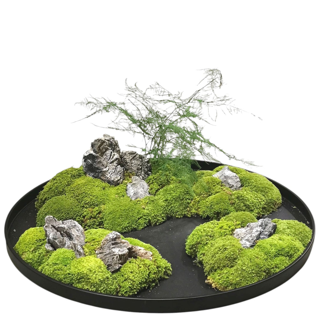 Moss Plate Landscape 60cm.