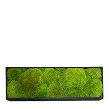 Load image into Gallery viewer, Moss Arrangement
