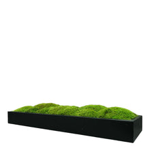 Load image into Gallery viewer, Moss Arrangement
