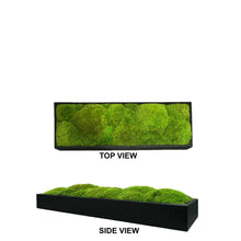 Load image into Gallery viewer, Moss Arrangement
