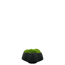 Load image into Gallery viewer, Moss Arrangement
