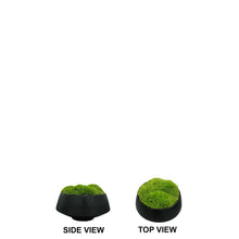 Load image into Gallery viewer, Moss Arrangement
