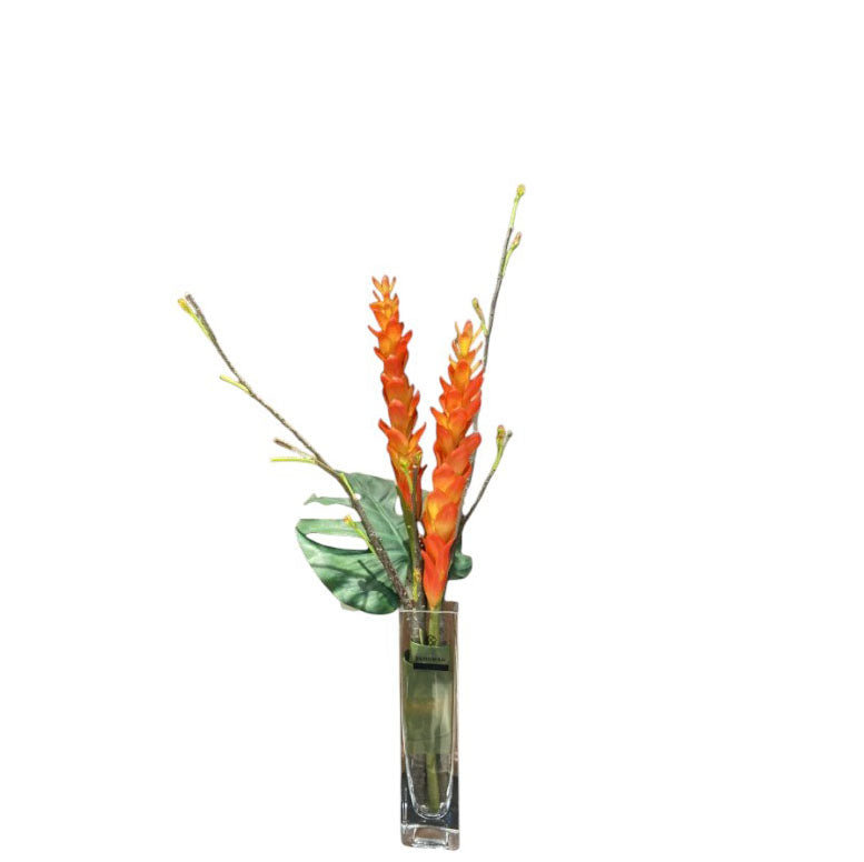 MKFA0079 Calathea Arrangement