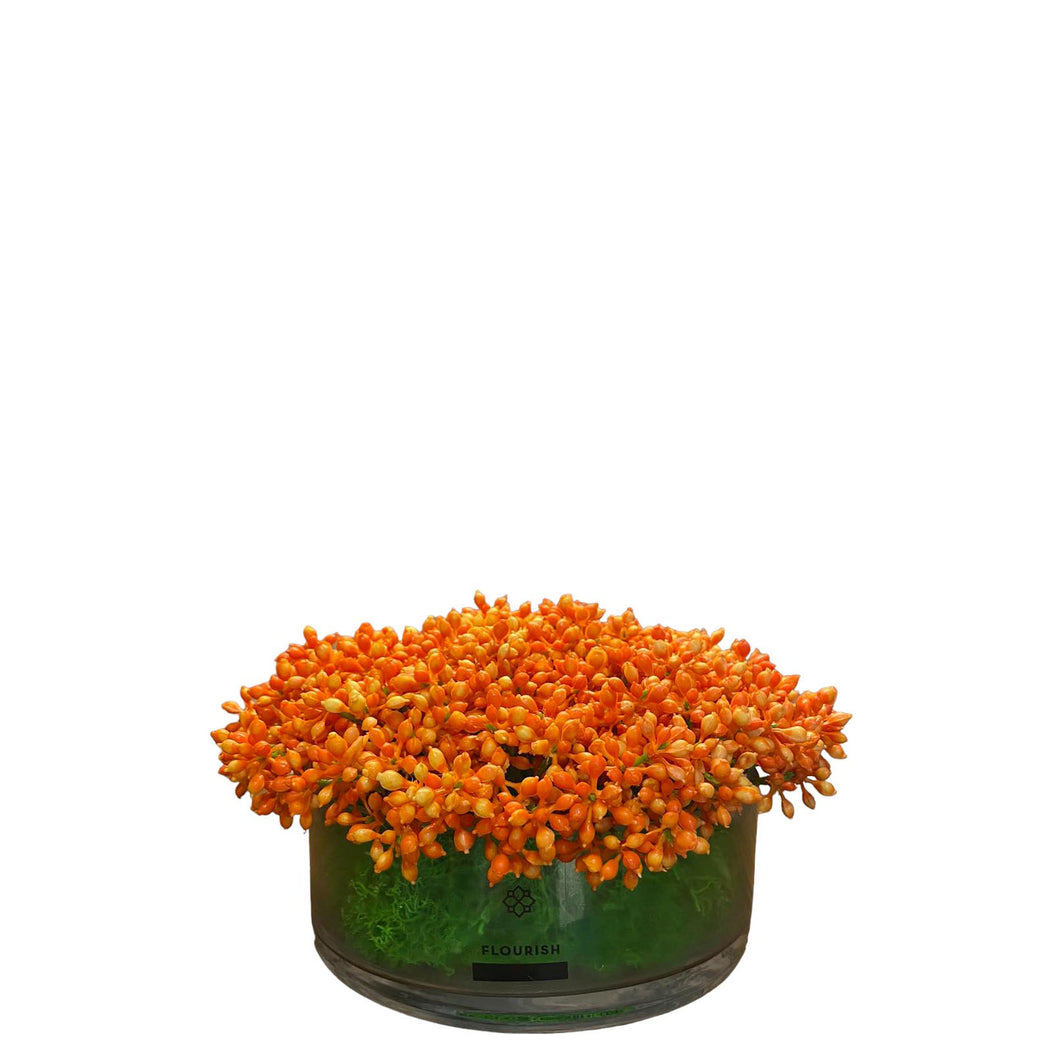 MKFA0130 Viburnum Tinus Spray Arrangement (Big)