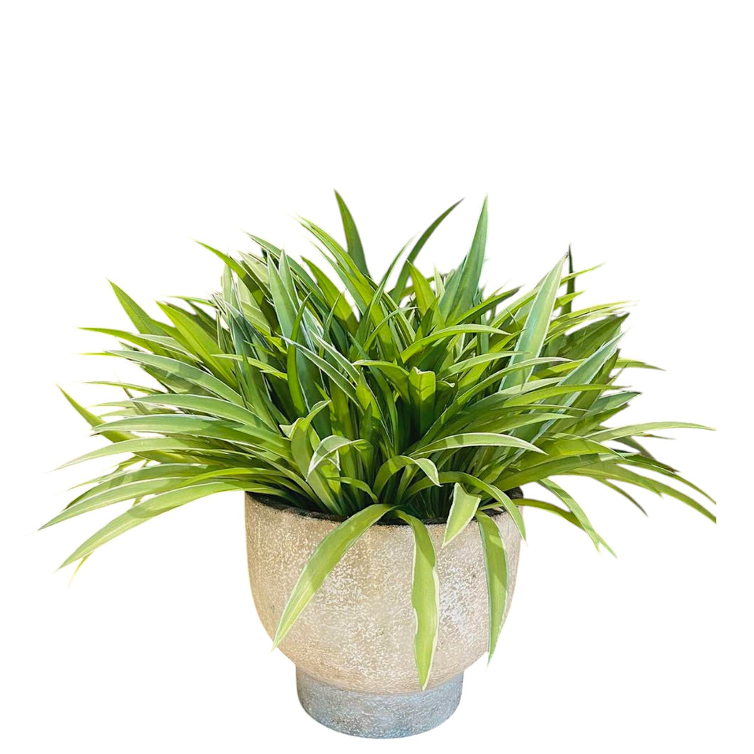 MKFA0137 Spider Bush Arrangement
