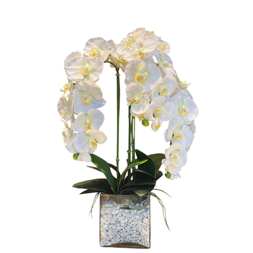 MKFA0305 Orchid Arrangement