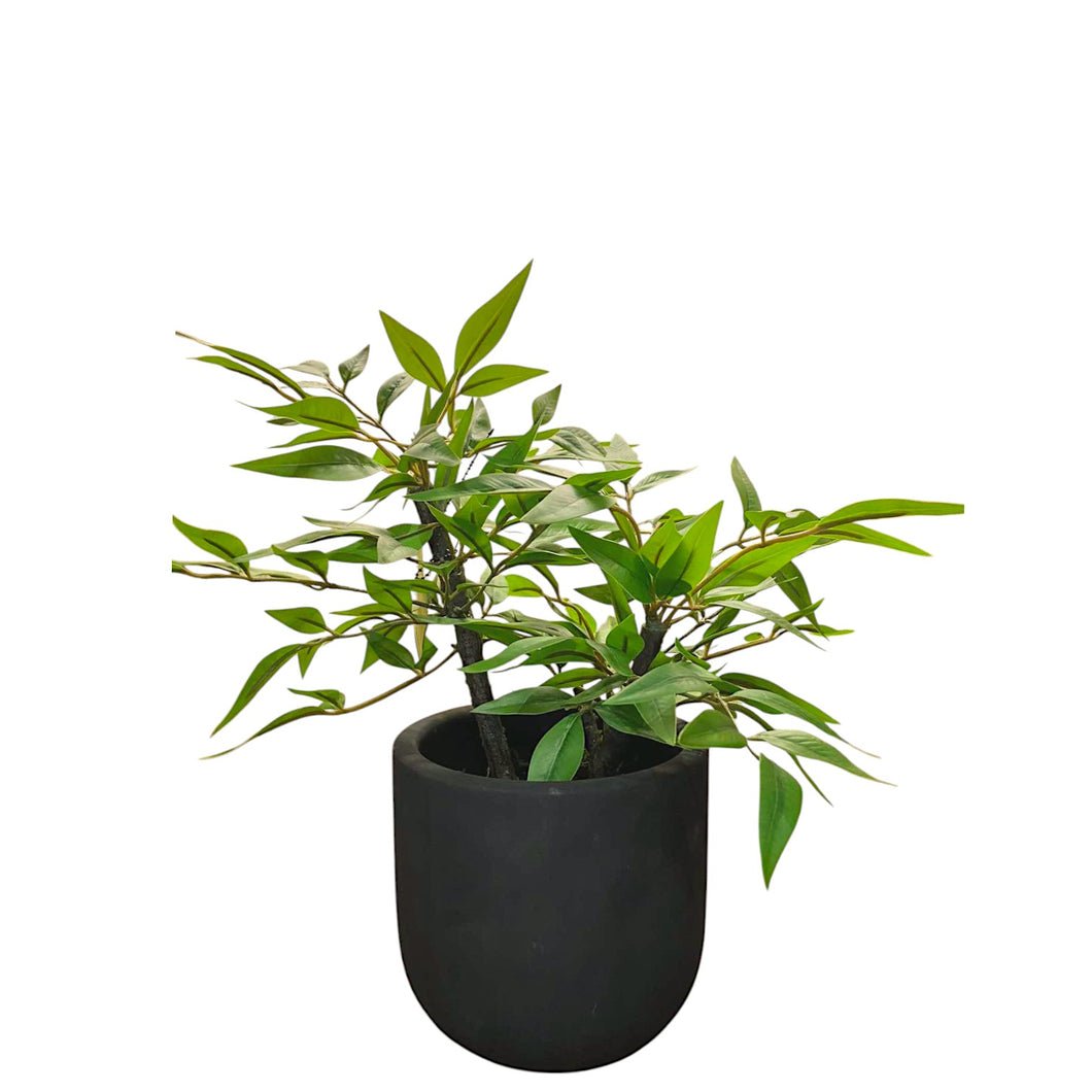 MKFA0308 Nandina Arrangement
