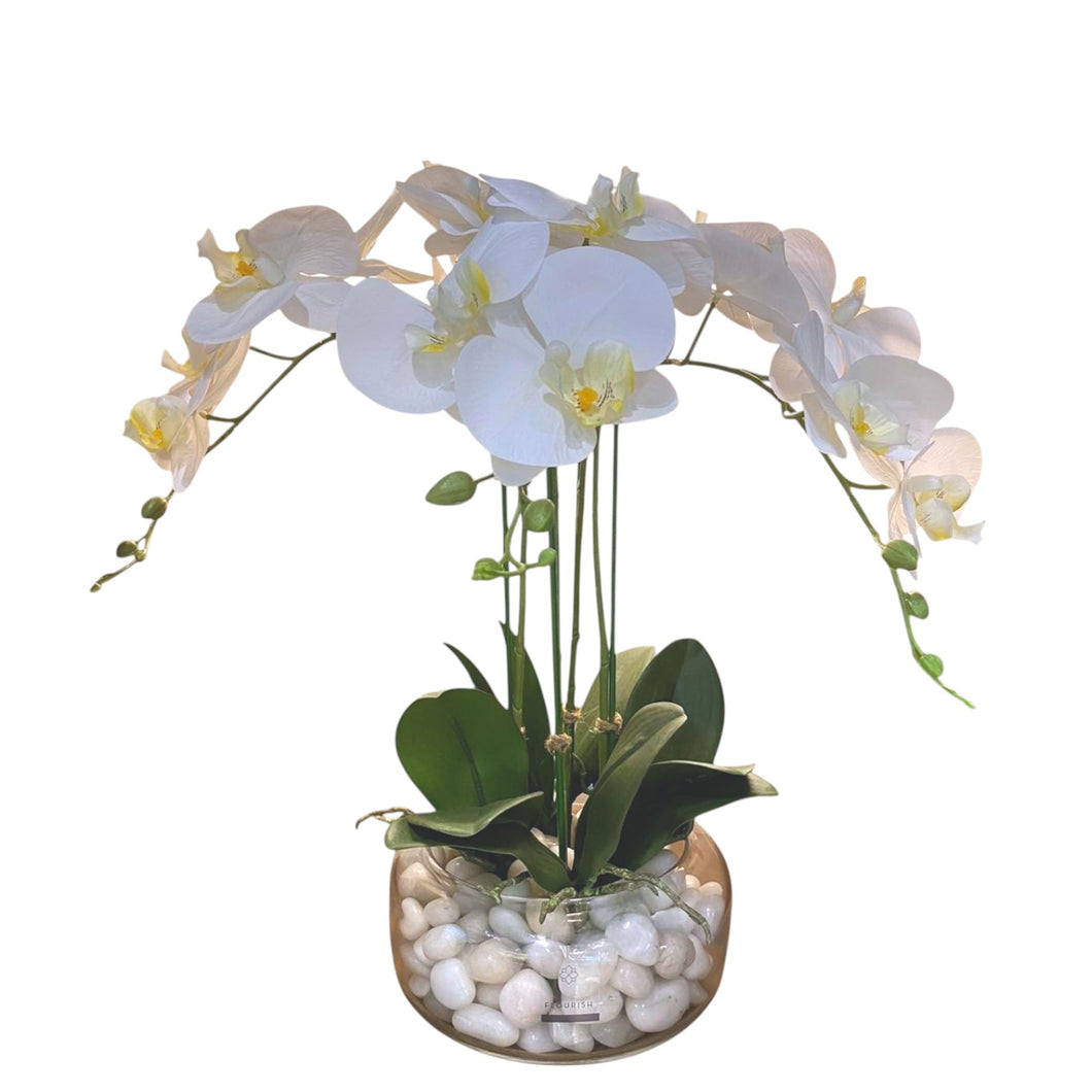 MKFA0312 Orchid Arrangement
