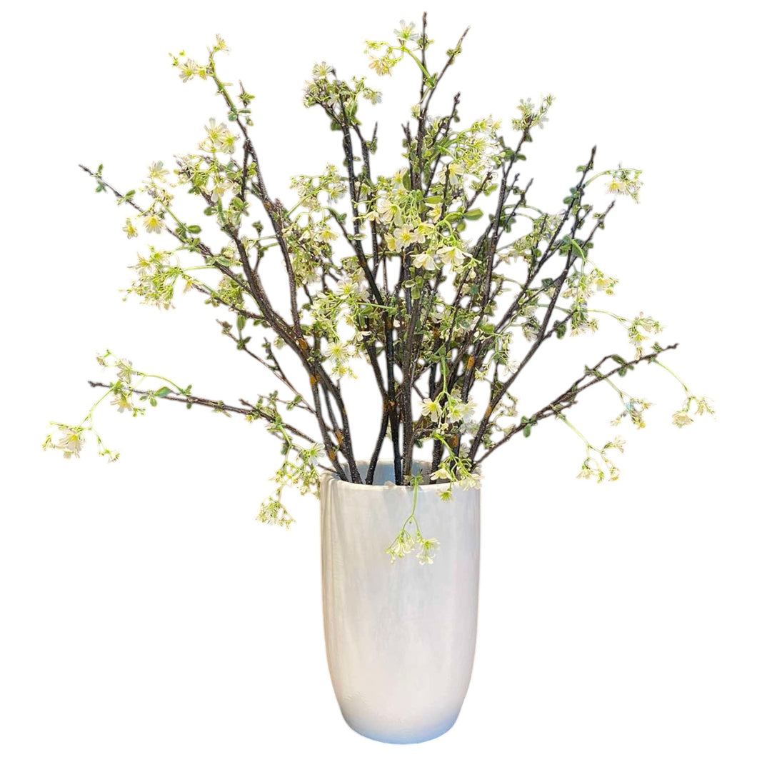 MKFA0317 Daphne Arrangement