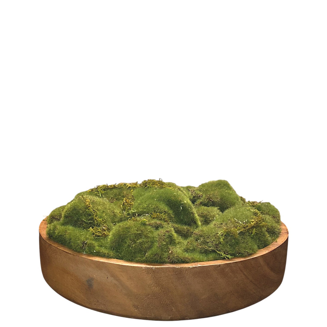 MKFA0336 Moss Arrangement