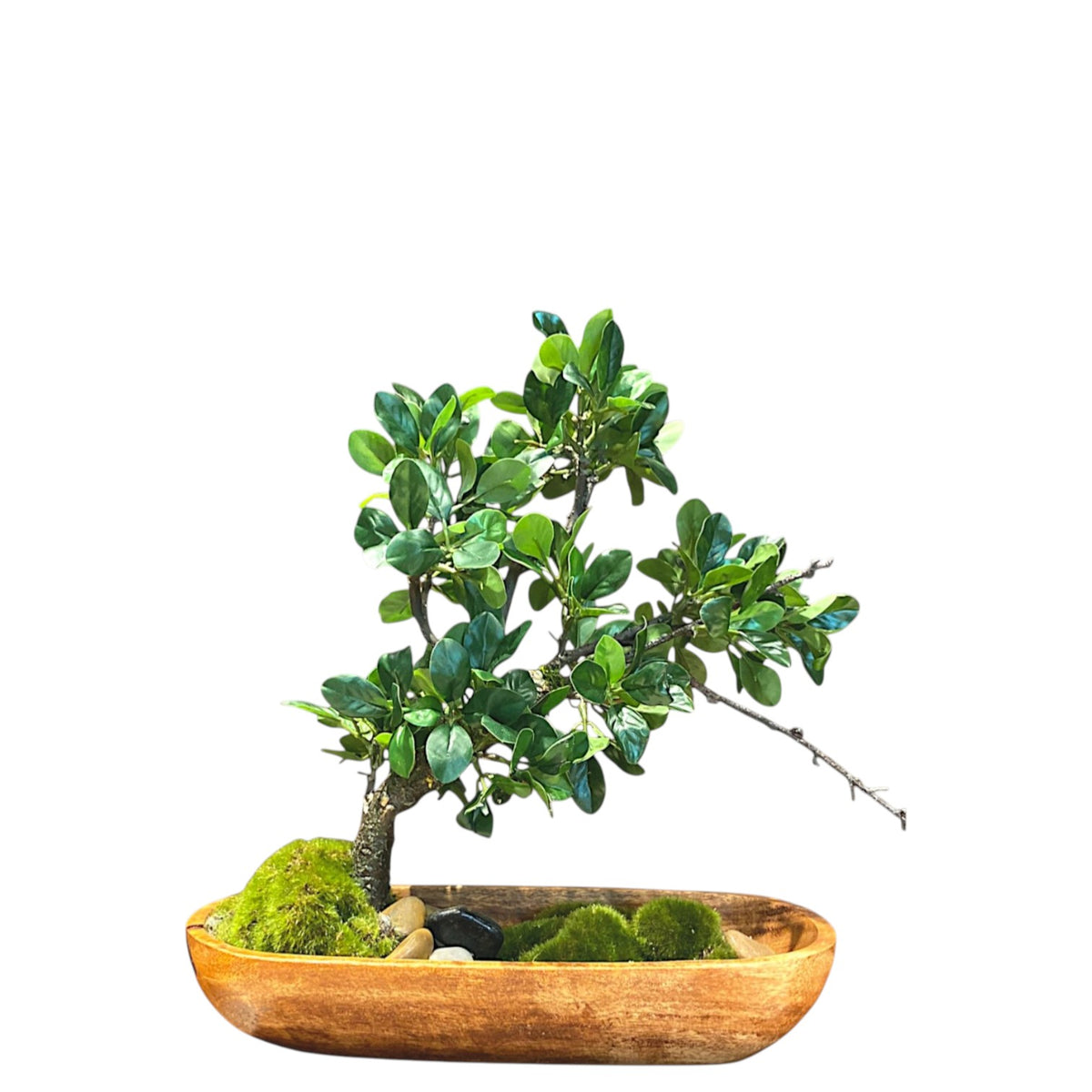 MKFA0399 Foliage Arrangement – Flourish_ph